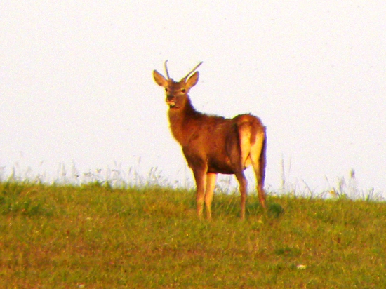 17.10.2017. Pomaly sa to konči.