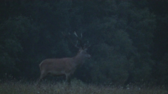 Prvé zatrúbenie  2018