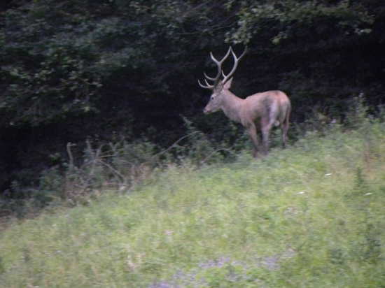 Zatiaľ je pánom on.