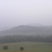 Trubač.