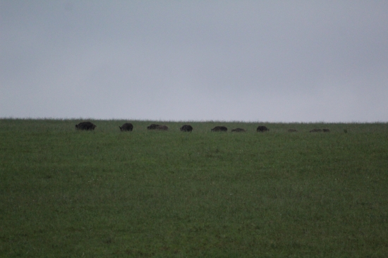 Taká menšia partia.