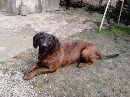 mary zo zeleneho domu