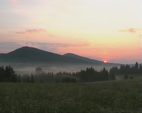 Od jari do leta 2011